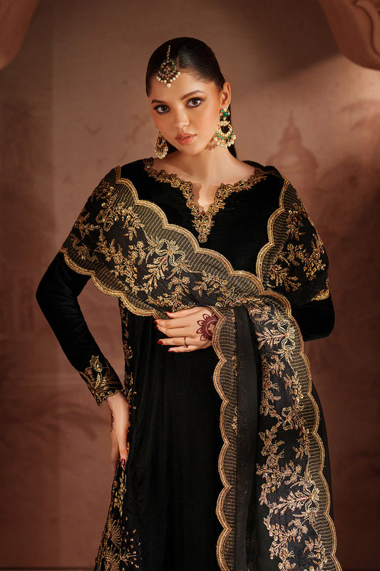 IV-62 Embroidered Velvet