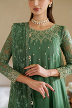 CC-53 Embroidered Chiffon - Iznik