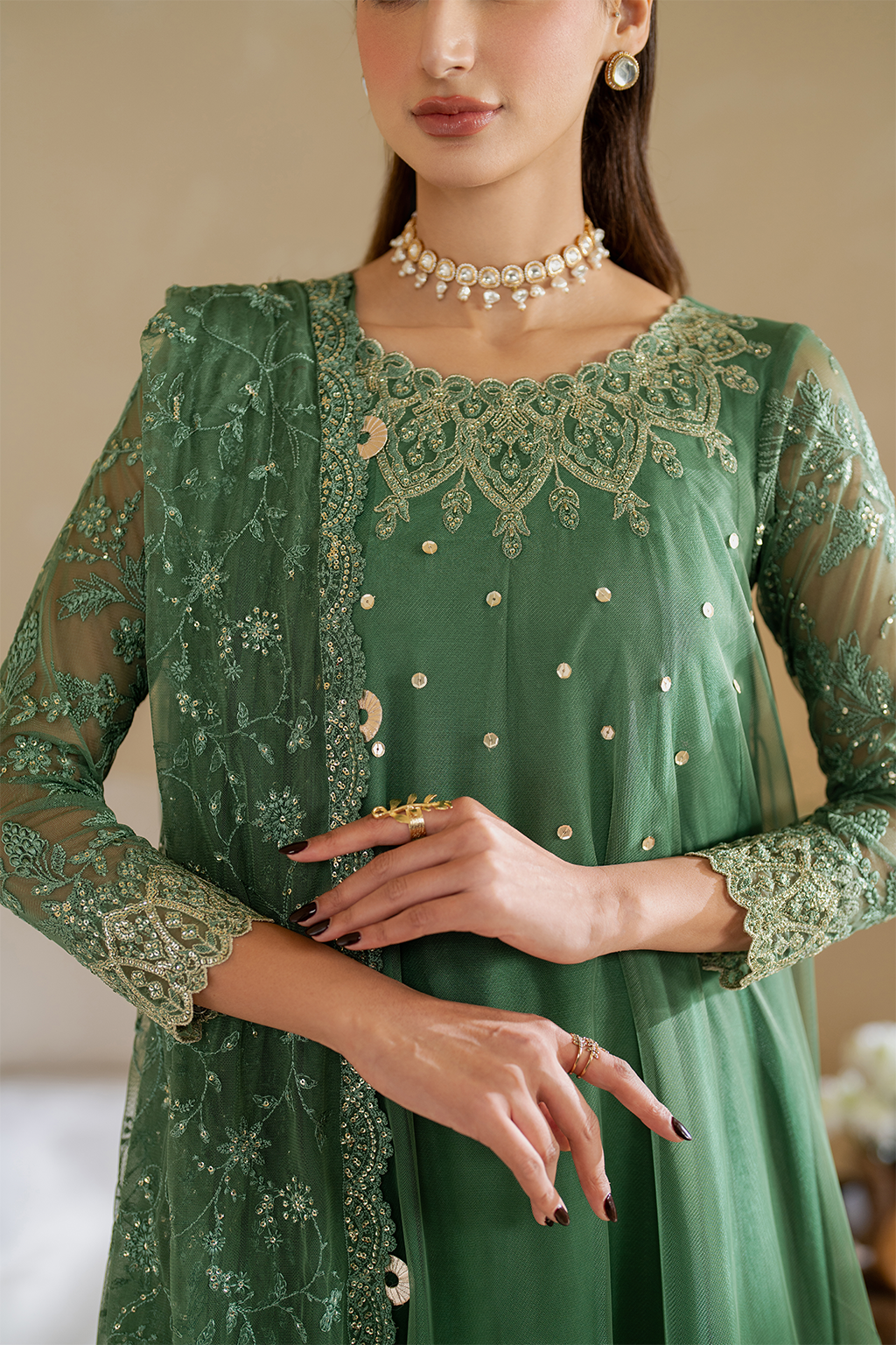 CC-53 Embroidered Chiffon