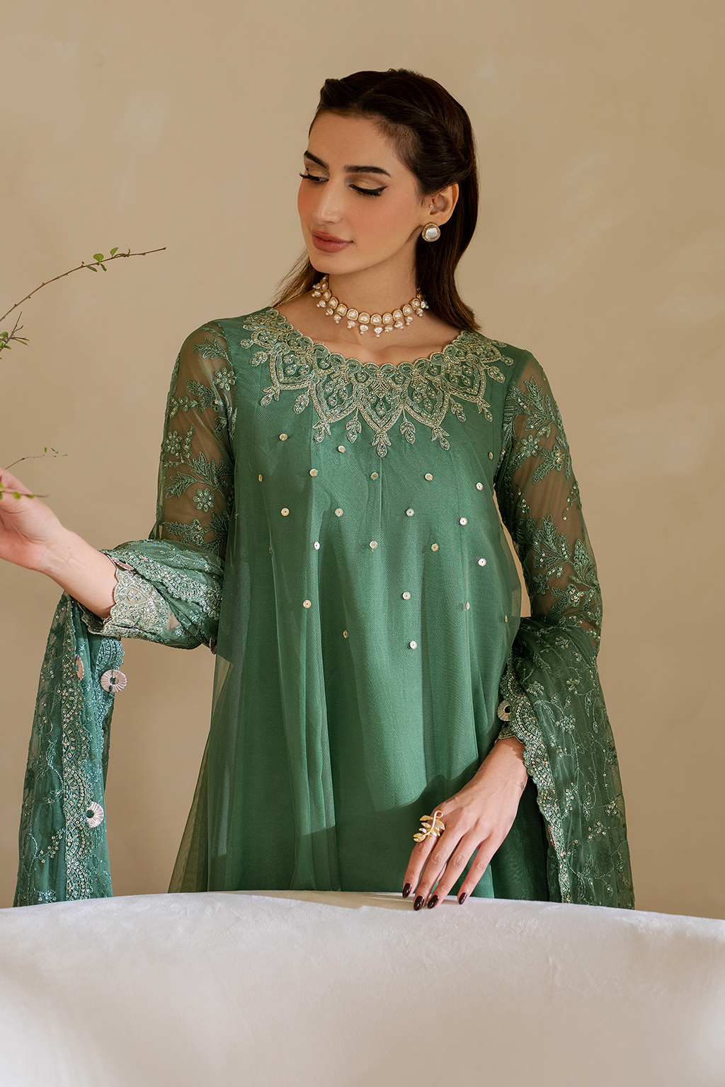CC-53 Embroidered Chiffon - Iznik