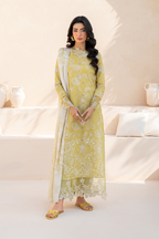 Embroidered Lawn dress - Iznik