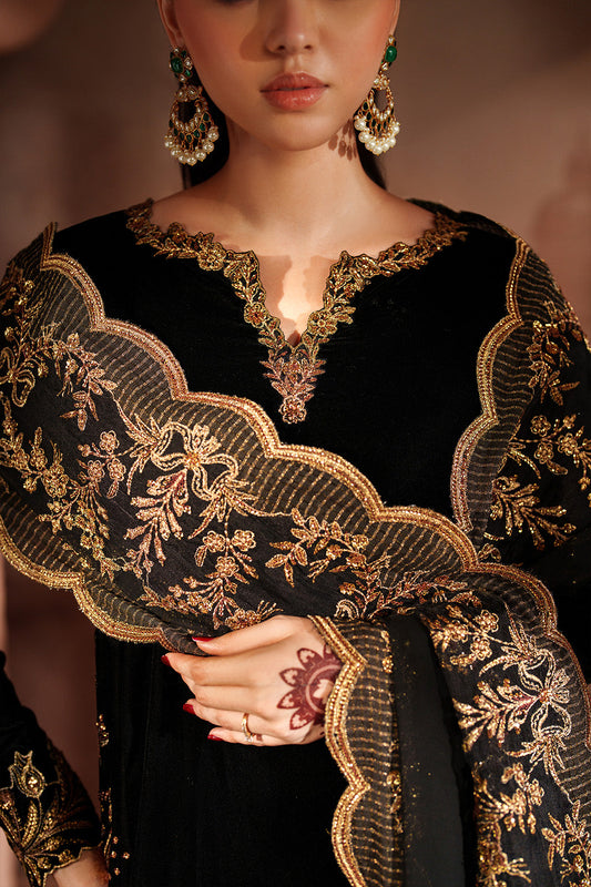 IV-62 Embroidered Velvet