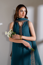 CC-51 Embroidered Chiffon - Iznik