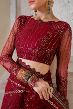 CC-49 Embroidered Net - Iznik