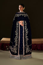IV-76  Embroidered Velvet