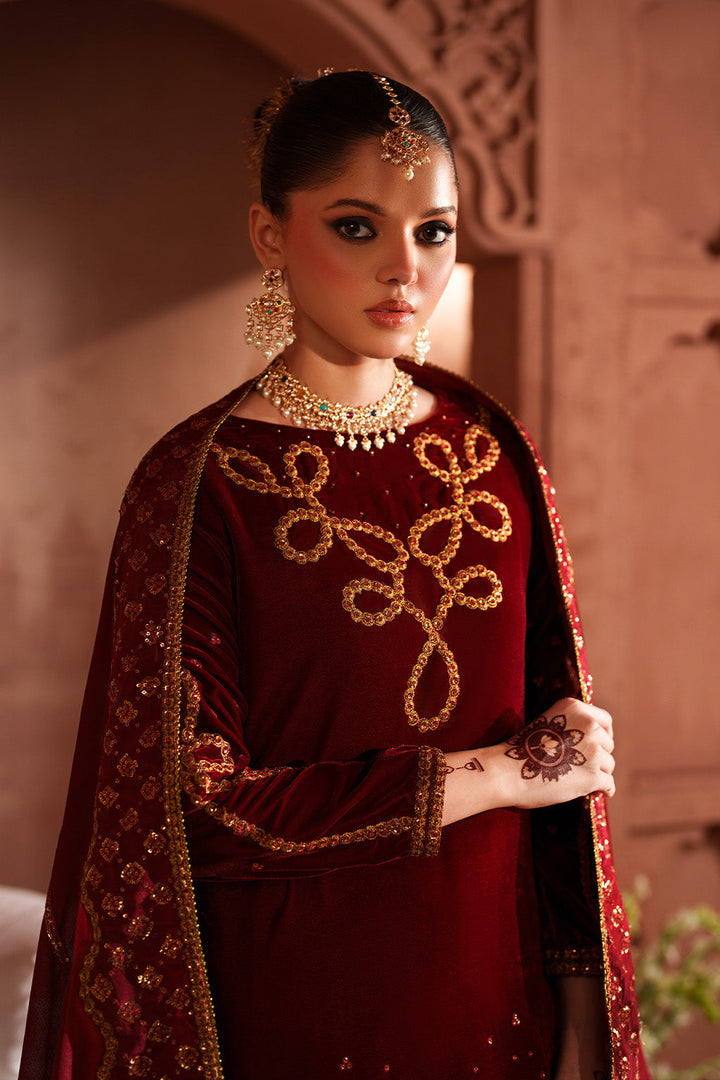 IV-58 Embroidered Velvet