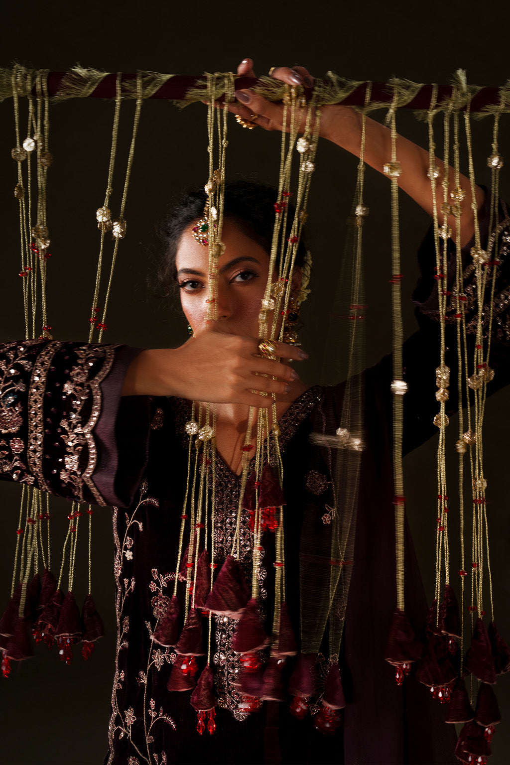 IV-70  Embroidered Velvet