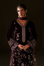 IV-70  Embroidered Velvet