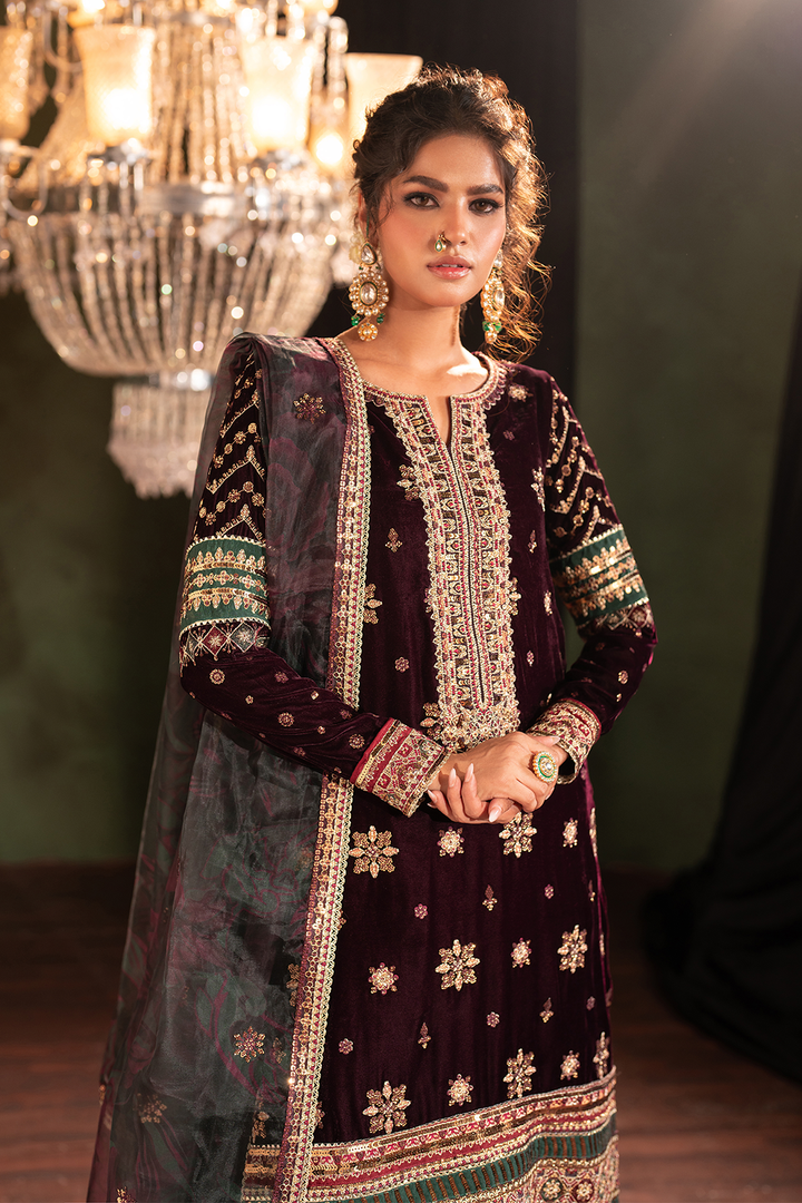 IV-43 Embroidered Velvet - Iznik