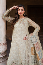 ILC-02 Embroidered Chiffon (Long shirt & Lehnga)