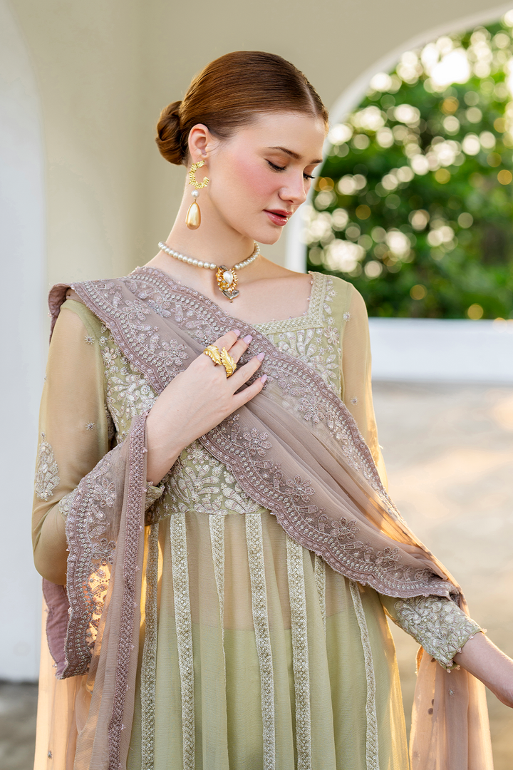 CC-68 Embroidered Chiffon