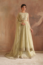 CC-73 Embroidered Net