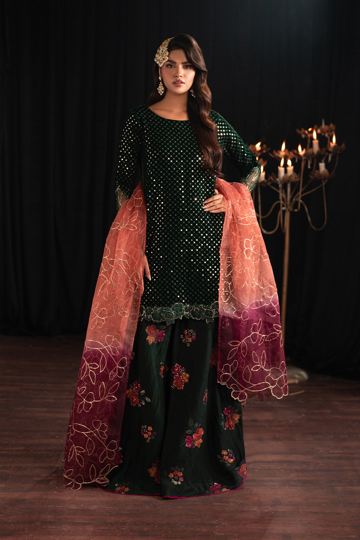 IV-53 Embroidered Velvet - Iznik