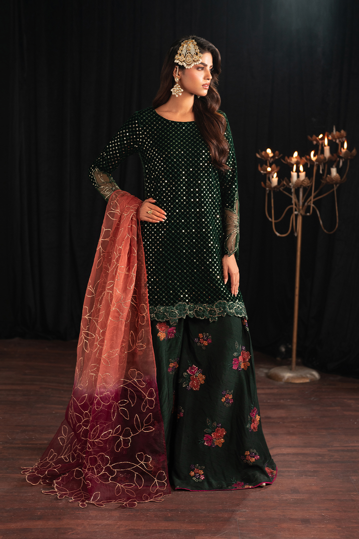 IV-53 Embroidered Velvet - Iznik