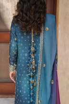Embroidered Chiffon - Iznik