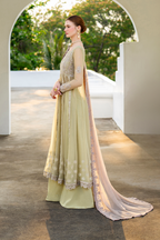 CC-68 Embroidered Chiffon - Iznik