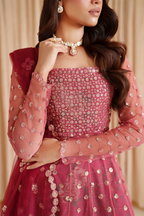 CC-72  Embroidered Net - Iznik