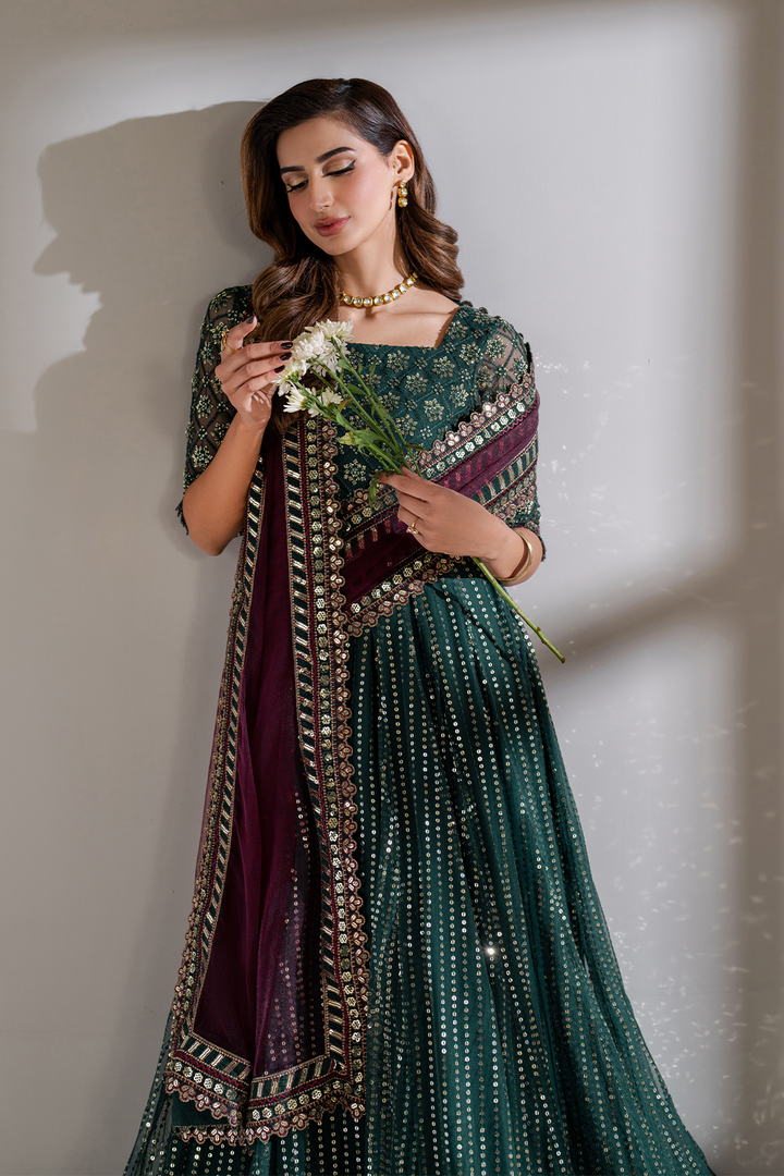 CC-65 Embroidered Net