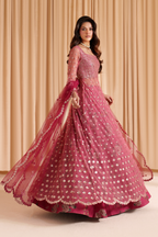 CC-72  Embroidered Net - Iznik