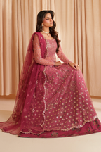 CC-72  Embroidered Net - Iznik