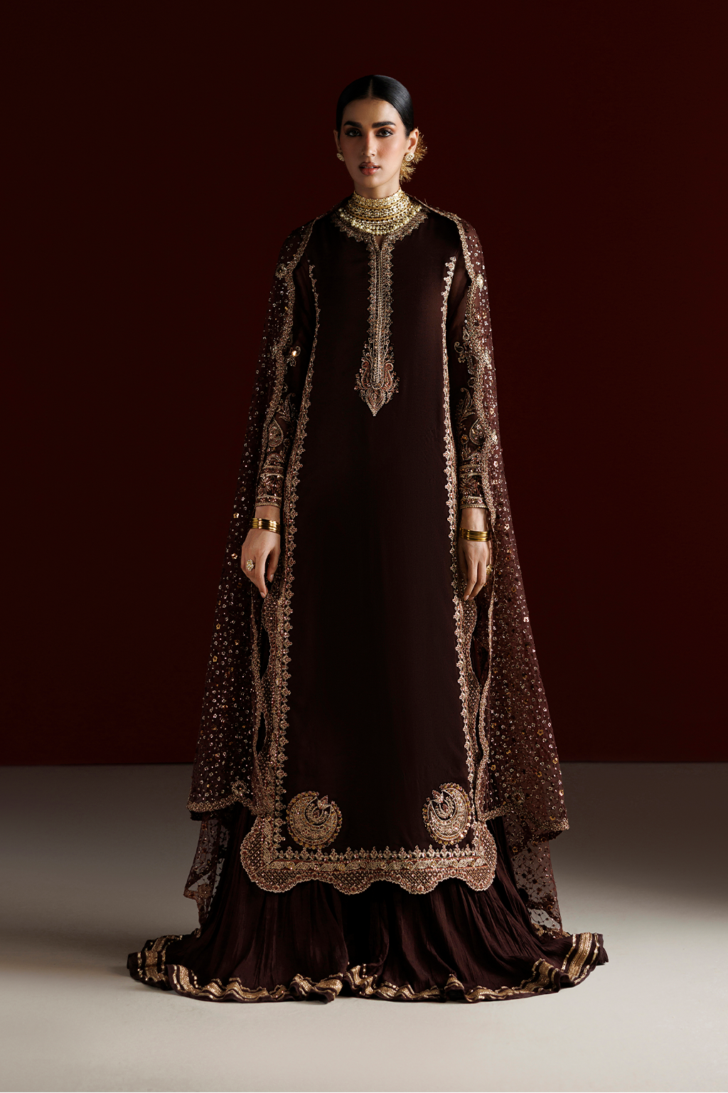 CC-113 Embroidered Chiffon Main image