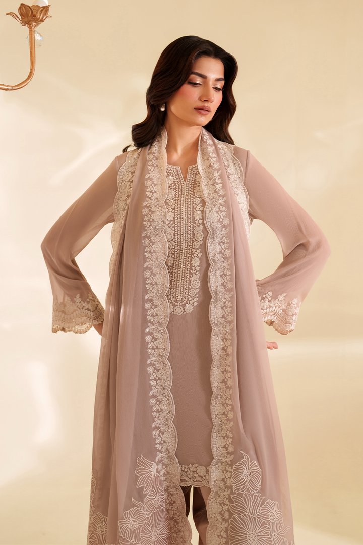CC-79 Embroidered Chiffon - Iznik
