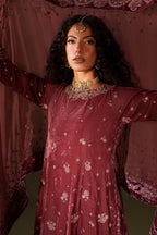 IV-75  Embroidered Velvet
