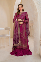 CC-45 Embroidered Chiffon - Iznik