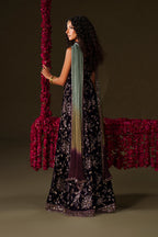 IV-67  Embroidered Velvet