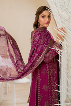 CC-45 Embroidered Chiffon - Iznik