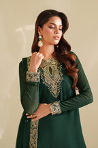 CC-75 Embroidered Chiffon - Iznik