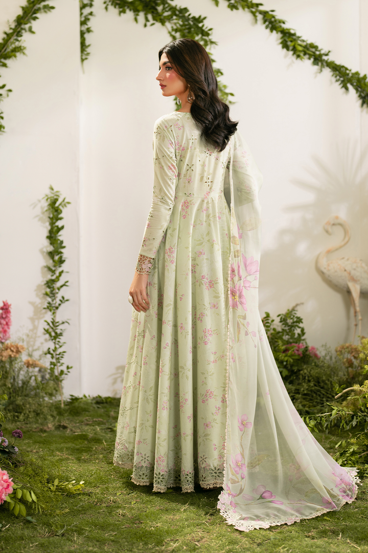 IFE-11 Embroidered Lawn
