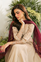 Embroidered Lawn dress - Iznik