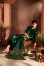 IV-60 Embroidered Velvet