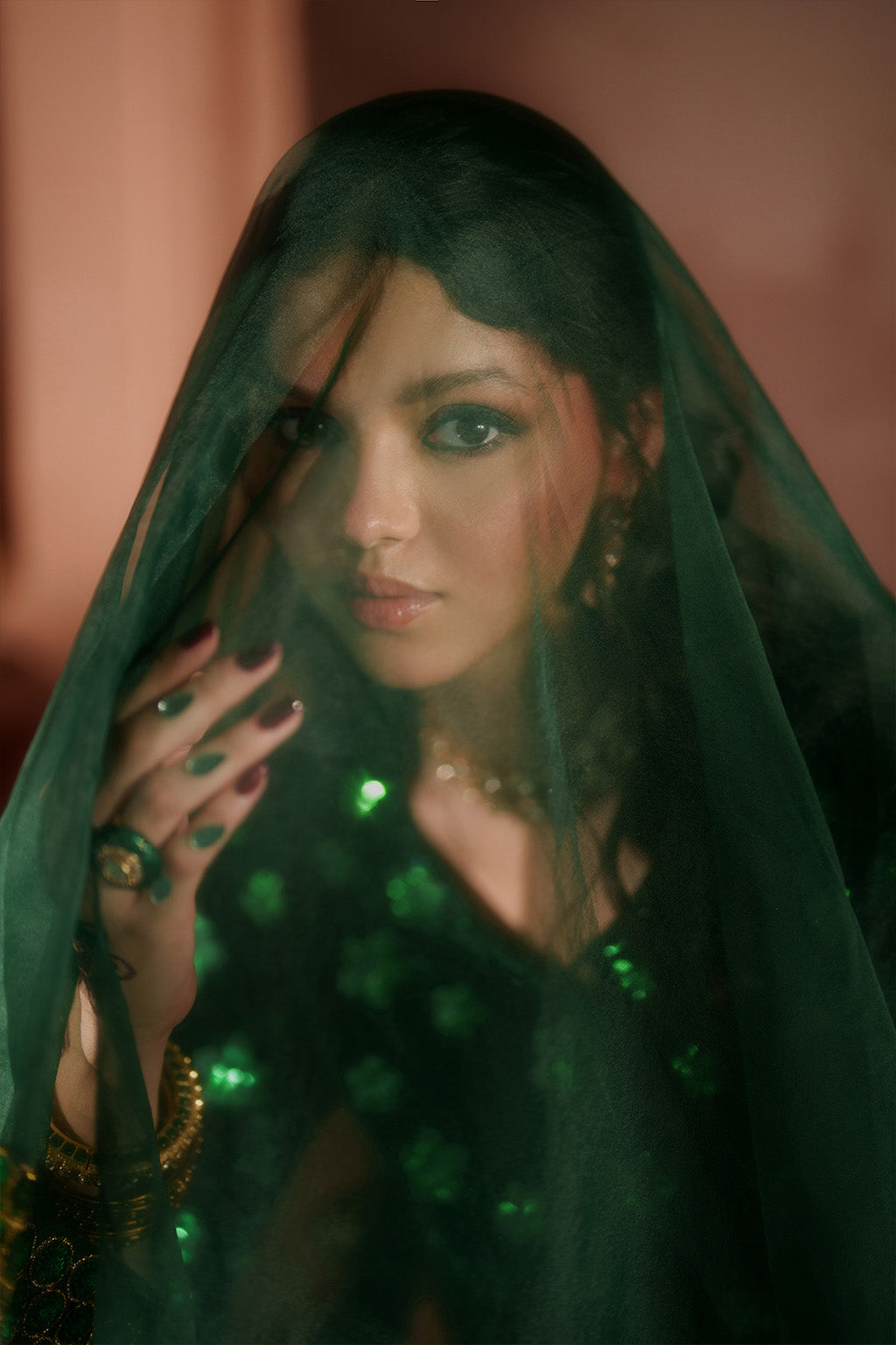 IV-60 Embroidered Velvet