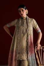 CC-108 Embroidered Chiffon