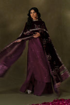 IV-68  Embroidered Velvet