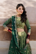 UE-328 Embroidered Chiffon (frock)