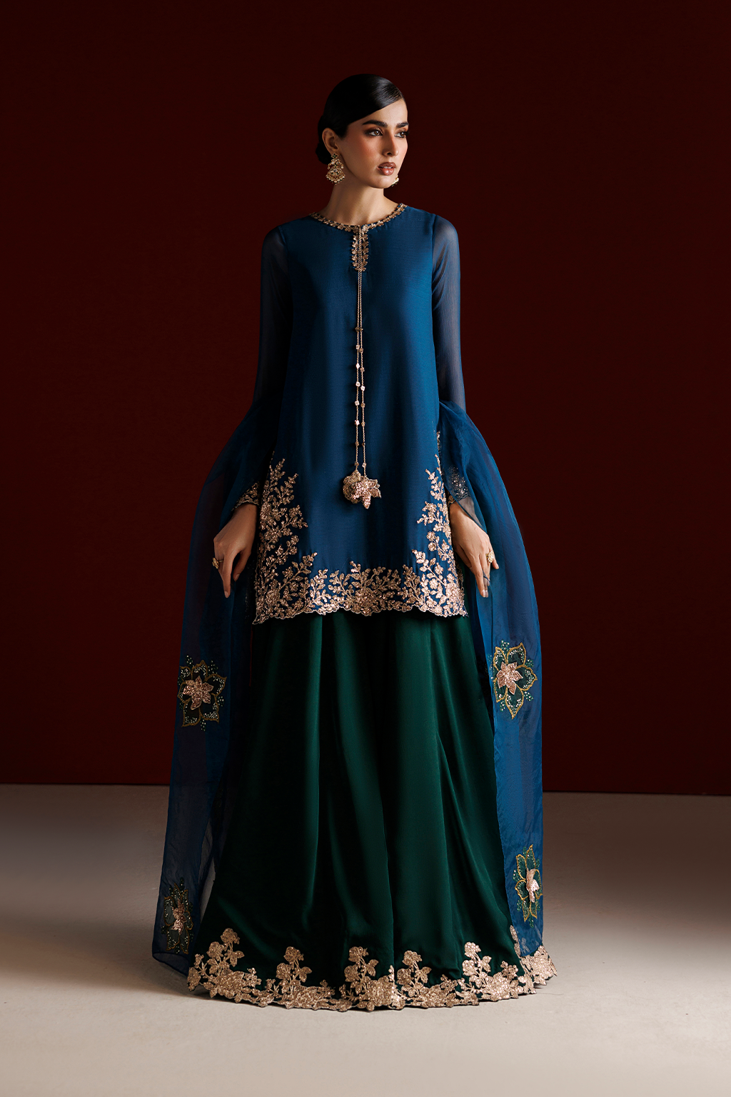 CC-102 Embroidered Chiffon