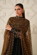 UE-621 Embroidered Chiffon