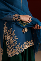 CC-102 Embroidered Chiffon