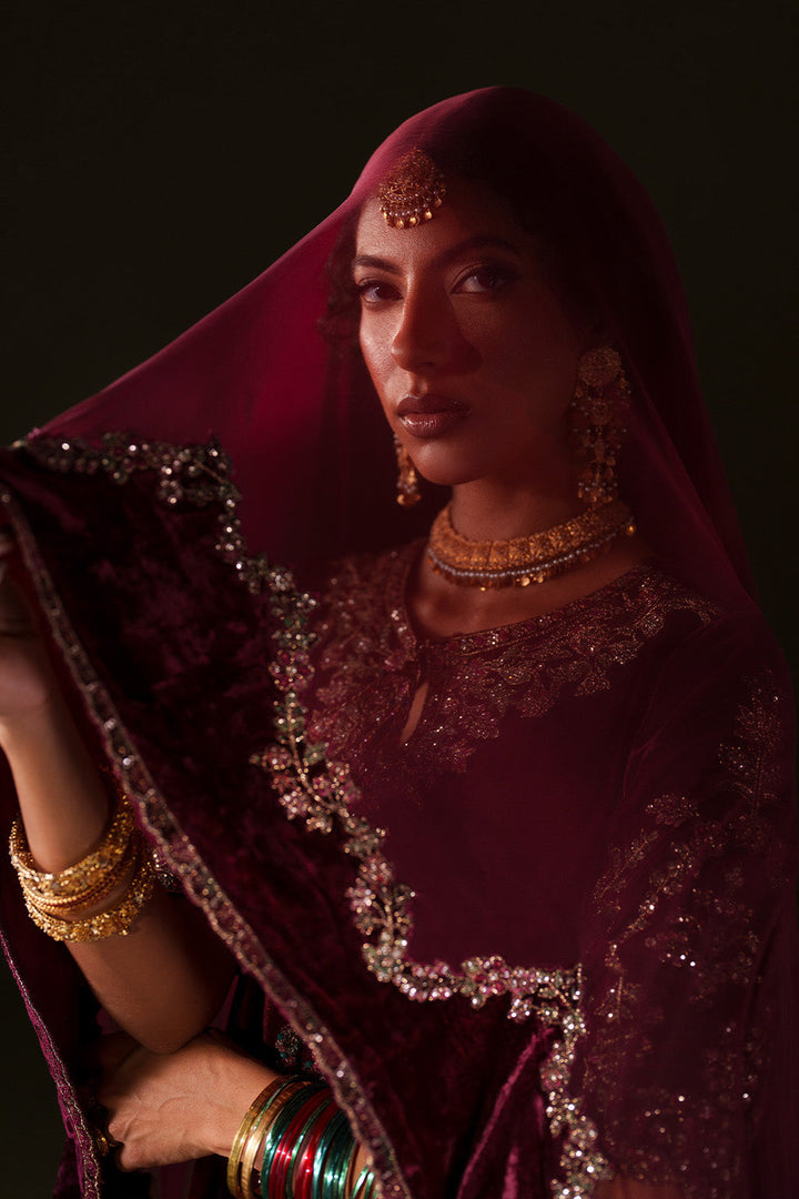 IV-71  Embroidered Velvet