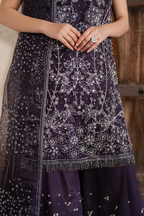 ILC-06 Embroidered Organza (Long Shirt With Azaar)