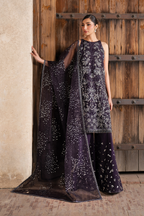 ILC-06 Embroidered Organza (Long Shirt With Azaar)