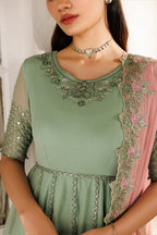 CC-99 Embroidered Chiffon