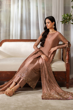 CC-87 Embroidered Chiffon