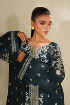 IP-343 Printed Khaddar