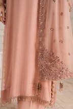 UE-479 Embroidered Chiffon - Iznik