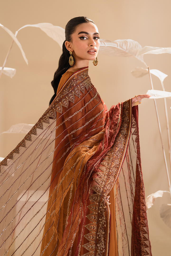 IP-285 Embroidered Chiffon