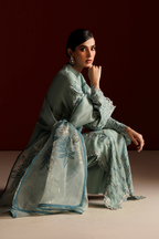 CC-112 Embroidered Chiffon
